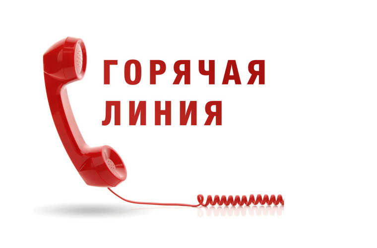 О проведении горячей линии. О проведении горячей линии.